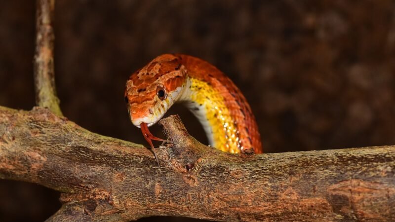 You’re going to miss beach life for sure