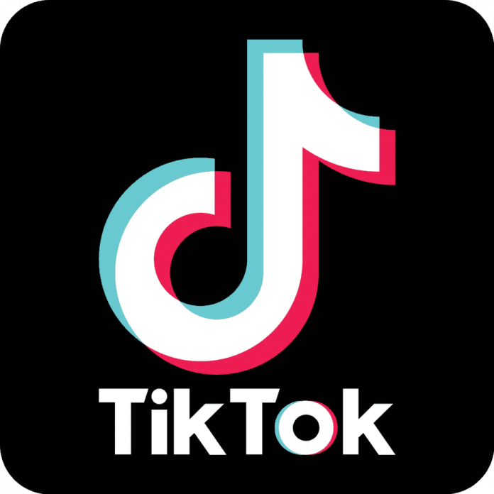 1200px Tiktok logo.svg 696x696 1 - Wardeeq news