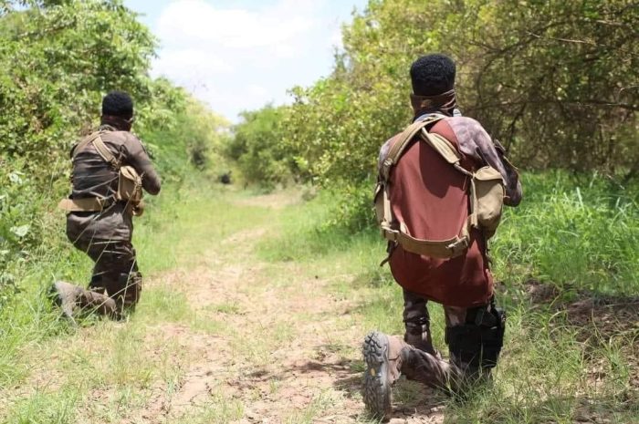 War-Dag AH, Dagaal u dhexeeyay ciidamada DF iyo Al-Shabaab oo ka dhacay gobolka Bakool