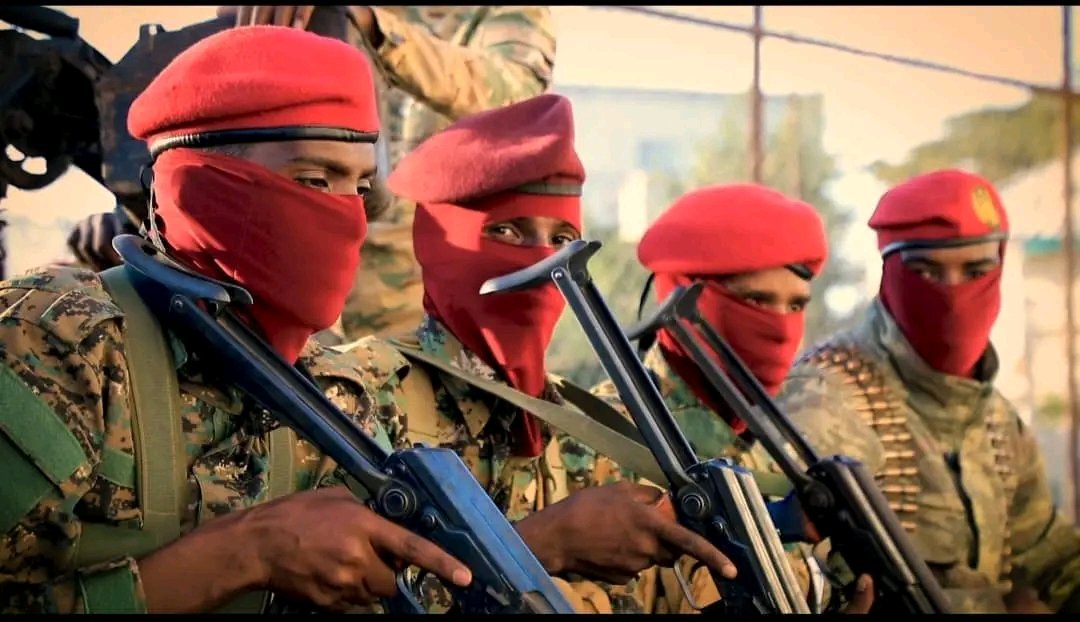 Sawerro; Maxaad ka ogtahay cutubka sida gaarka ah u tababaran ee Special Assault Group (SAG