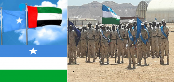 Maamulka Puntland oo ka hadashay shaqaalaha Imaaraadka ee ka baxay Boosaaso.