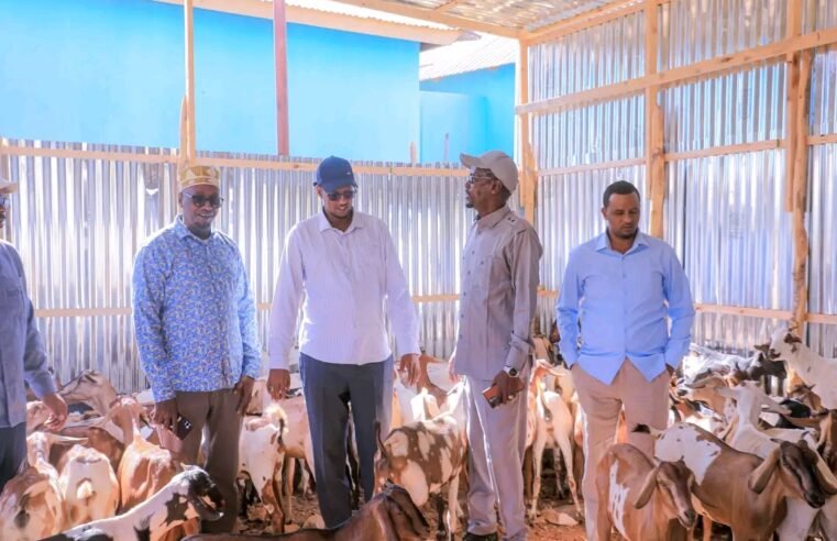 Madaxweynaha Dowladda Koonfur Galbeed Soomaaliya iyo dadaallada Guddiga Gurmadka Abaaraha KGS