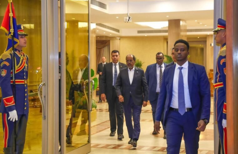 Madaxweyne Xasan Sheekh oo Maanta Kulan la Yeelanaya Madaxweynaha Masar