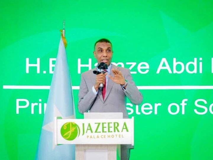 Ra’iisul Wasaare Xamsa oo shaaciyay in DFS ay la wareegtay amniga Baydhabo