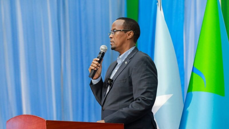 Hir-Shabeelle oo Bogaadisay Tallaabada Labada Aqal ku Meelmariyeen Dastuurka Qaranka