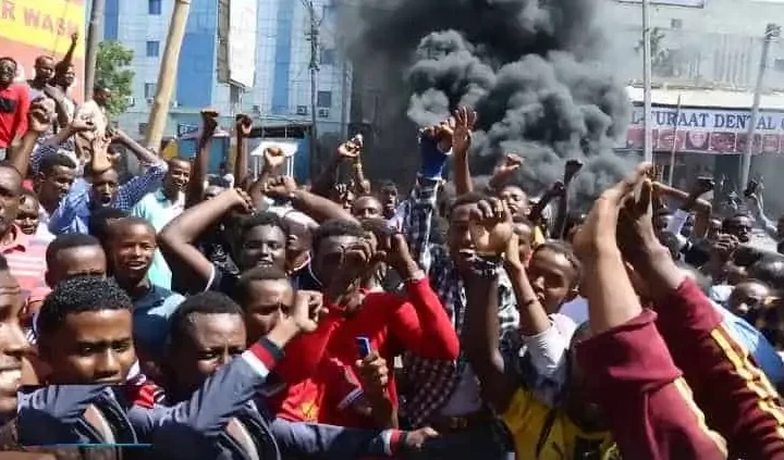 Bannaanbax ka Qarxay Bakaaraha: Ganacsato ka Horyimid Iibinta Dhulkooda