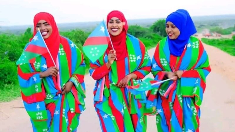 Fanaaniinta Koonfur Galbeed oo wajahay culays dhaqaale kadib go’aankii dowladda