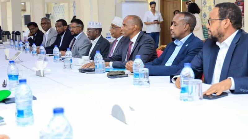 Dib u dhac ku yimid shirkii mucaaradka: Sababaha ka dambeeya go’aanka